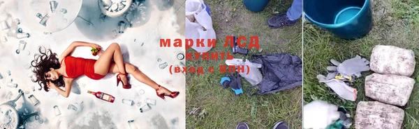дмт Абаза